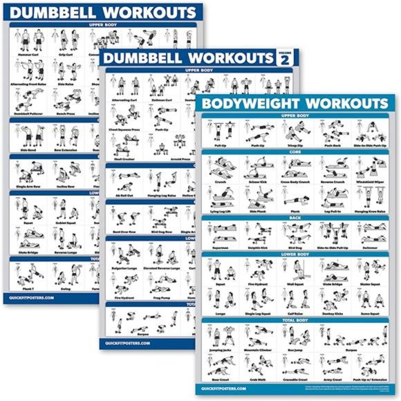 3 Pack Laminated Palace Learning Dumbbell and Body Weight Exercise Poster 18x24" - Picture 1 of 6